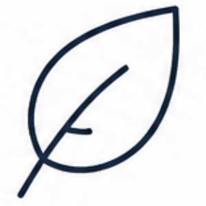 ecowebp – Ticol Wrocław – Ticol Wrocław Line drawing of a single leaf with a curved stem, minimalist outline (eco/nature icon).